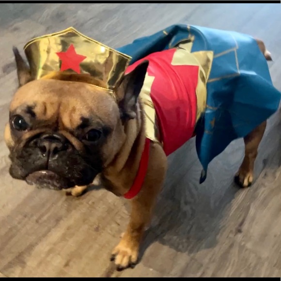 Meet your Posher, Christine - Picture 4 of 10